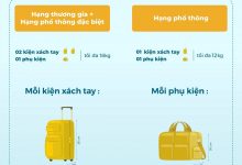 Quy định mới nhất về hành lý Vietnam Airlines 2025