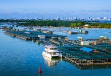 Đặt vé máy bay khám phá Đảo Long Sơn ở Vũng Tàu