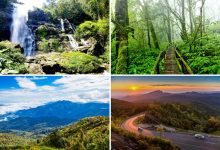 Mua vé máy bay đi Chiang Mai thăm Vườn quốc gia Doi Inthanon