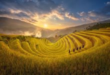Các trải nghiệm không thể bỏ lỡ tại Mù Cang Chải mùa lúa chín