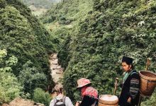 Săn vé máy bay checkin vườn Quốc gia Hoàng Liên