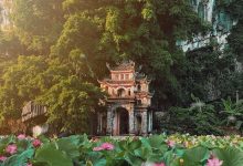 Khám phá mùa sen Ninh Bình đẹp như chốn bồng lai tiên cảnh