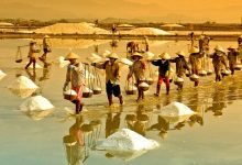 Cánh đồng muối Sa Huỳnh: Nét đẹp bình dị hơn 200 năm tuổi