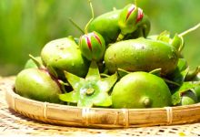 Một số món ăn từ trái bần chua miền Tây