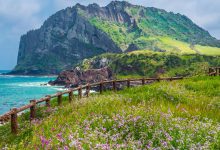 Vé máy bay đi Jeju