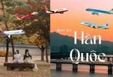Vé máy bay TP.HCM đi Busan giá rẻ
